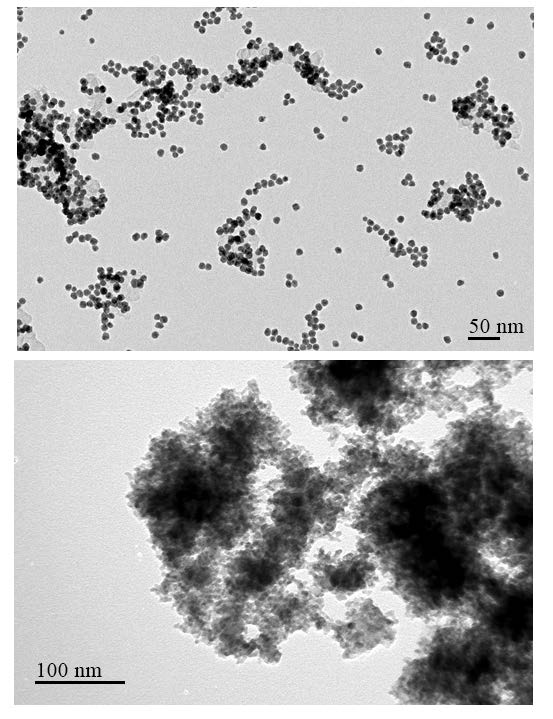 Figure 6. TEM images of cathode catalyst of PtCo (Top) for hydrogen evolution and oxygen reduction and anode catalyst of PdNiP (Bottom) for alcohol electro-oxidation