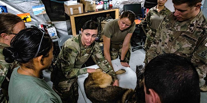 U.S. Army Maj. Tiffany Kimbrell, assigned to the 949th Medical Detachment, gives a brief during a veterinary class at Al Asad Air Base, Iraq on August 11, 2020. A Military Working Dog Trauma Registry was launched by the DoD to track MWD casualty care epidemiology, treatment, diagnostics, and outcomes to improve care (photo by U.S. Air Force Senior Airman Calabro).
