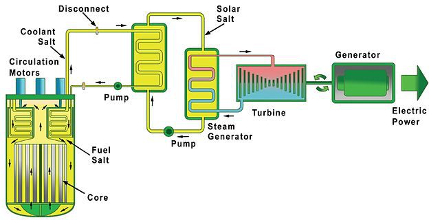 Diagram of a Molten Salt Reactor.