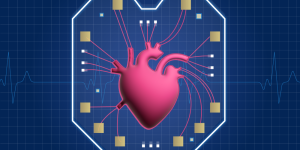 Anatomical Heart image on a blue grid background