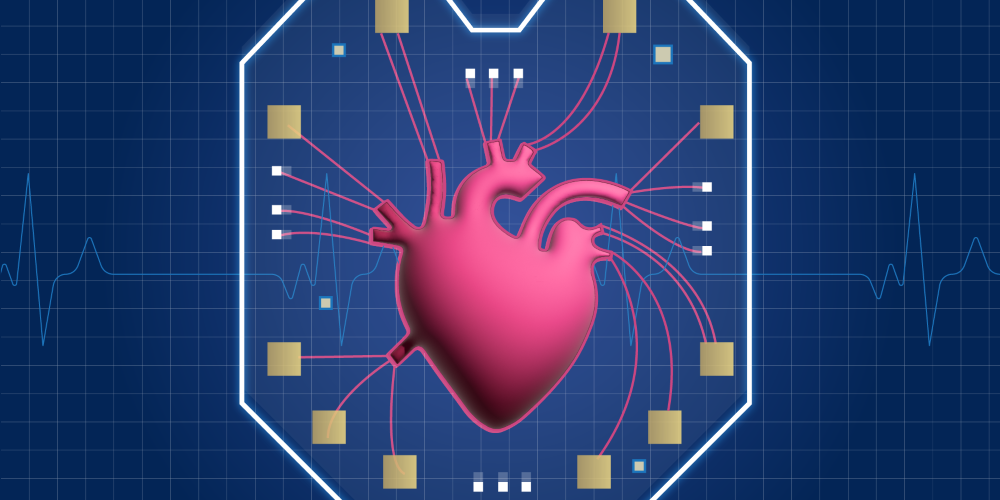 Anatomical Heart image on a blue grid background