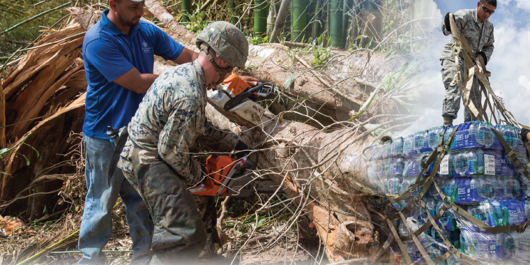 Photo Illustration created by HDIAC. Adapted from Marine Corps photo by Lance Cpl. Alexis C. Schneider (Available for viewing at http://www.jcs.mil/Media/News/
cle/1320454/jbsa-volunteers-aid-in-hurricane-maria-relief-efforts/), and Adobe Stock.